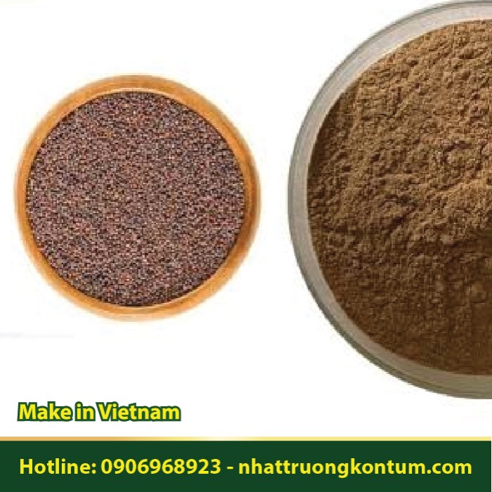 Bột Bá Tử Nhân - Oriental arborvitae seed Powder - Túi 1kg