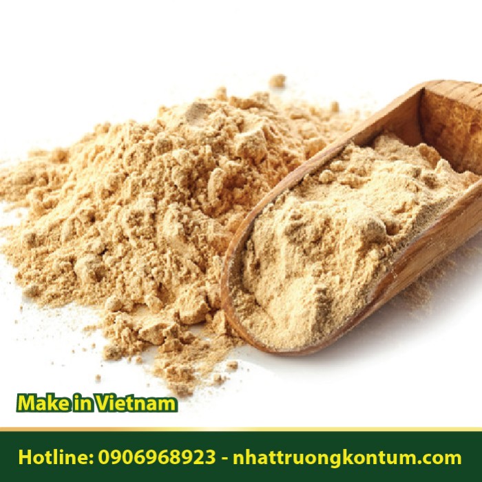 Bột Bòn Bọt - Glochidion eriocarpum Powder - Túi 1kg