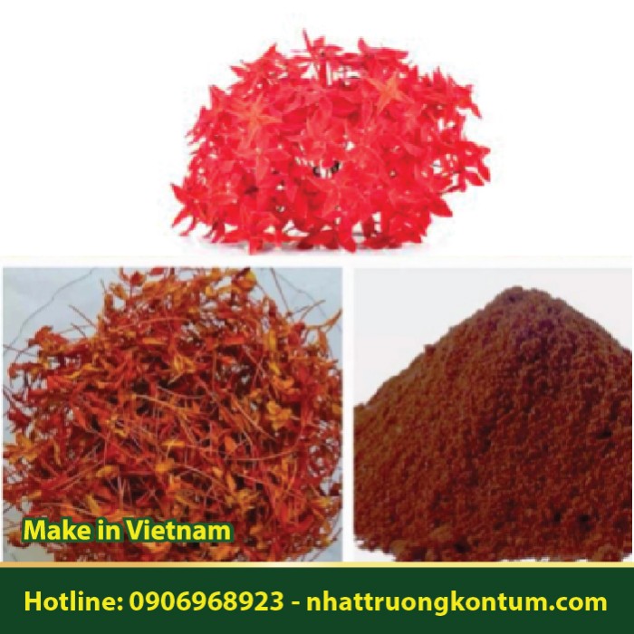 Bột Hoa Cây Bông Trang - Ixora coccinea Powder - Túi 1kg