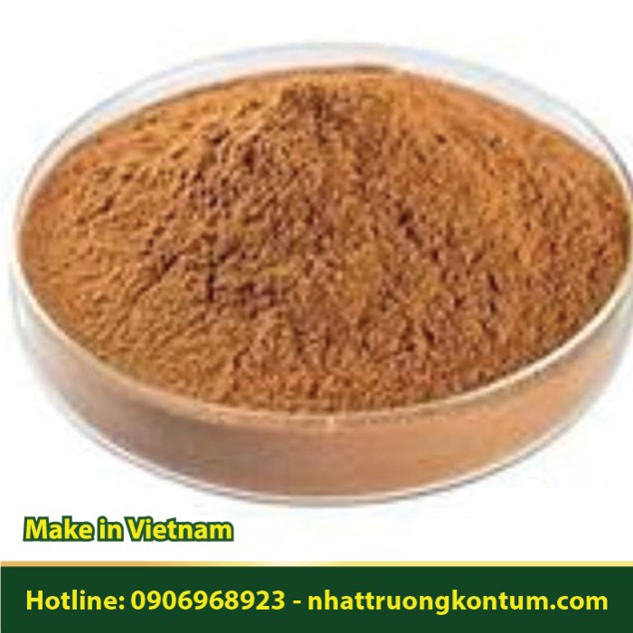 Bột Cà Đắng - Solanum incanum Powder - Túi 1kg