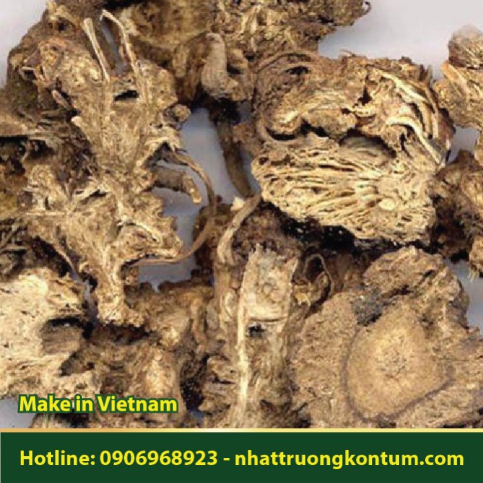 Cảo Bản - Ligusticum sinense - Túi 1kg