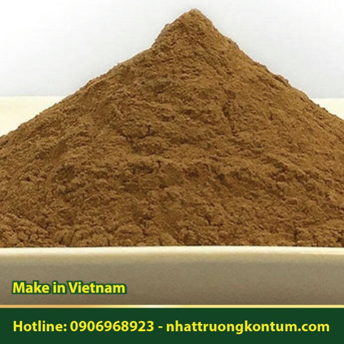 Bột Cây Đầu sư tử - Ích Mẫu Nam - Leonotis nepetifolia Powder - Túi 1kg