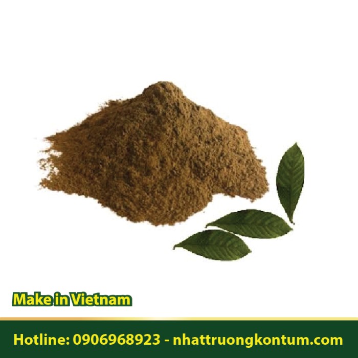Bột Cây Lấu - Psychotria rubra Powder - Túi 1kg