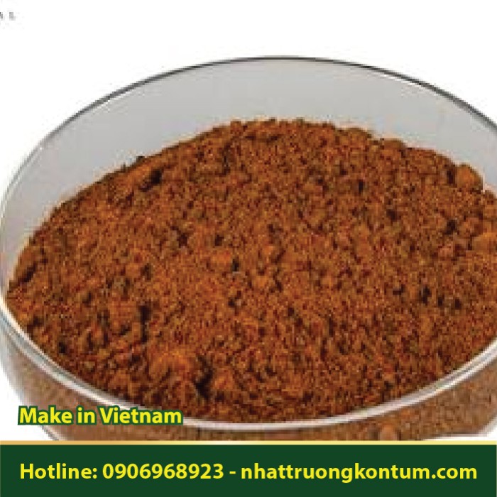 Bột Cây Long Cốt Phong - Alsophila spinulosa Powder - Túi 1kg