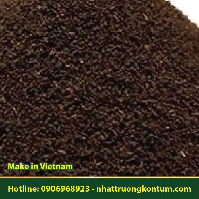 Bột Chàm Tía - Strobilanthes pateriformis Powder - Túi 1kg