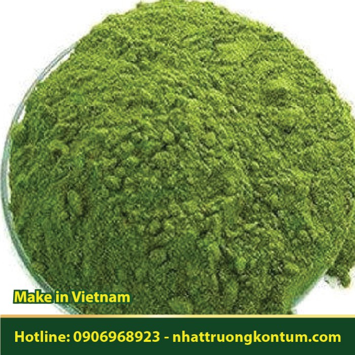 Bột Trà Cọc Rào - Chè Tàu - Acalypha siamensis Powder - Túi 1kg