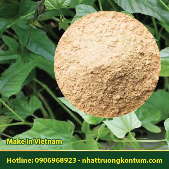 Bột Chìa Vôi - Cissus modeccoides Powder - Túi 1kg