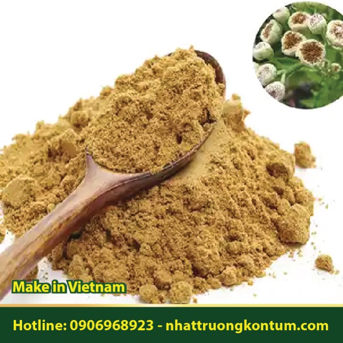 Bột Cúc Tần - Pluchea indica Powder - Túi 1kg