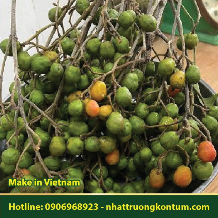 Dâu Da Xoan - Clausena excavata - Túi 1kg