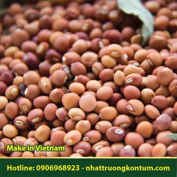 Đậu Săng - Cajanus cajan - Túi 1kg