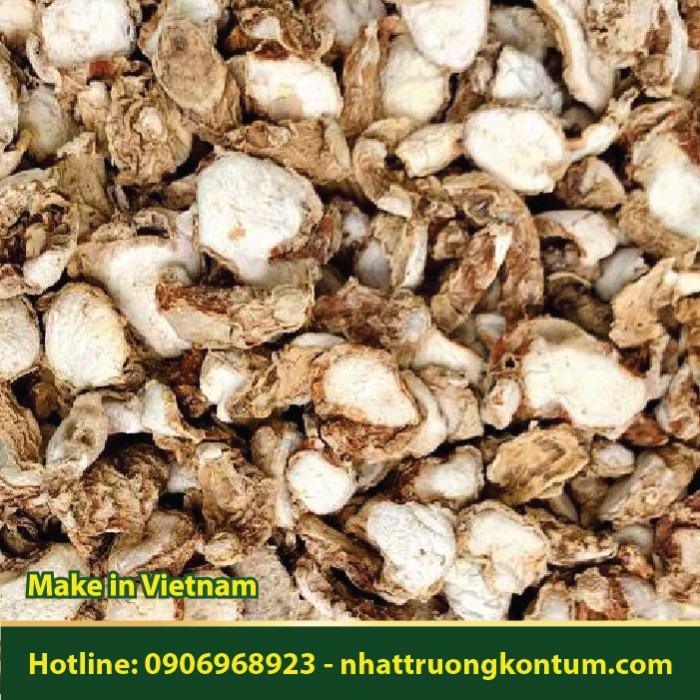 Địa Liền - Kaempferia galanga - Túi 1kg