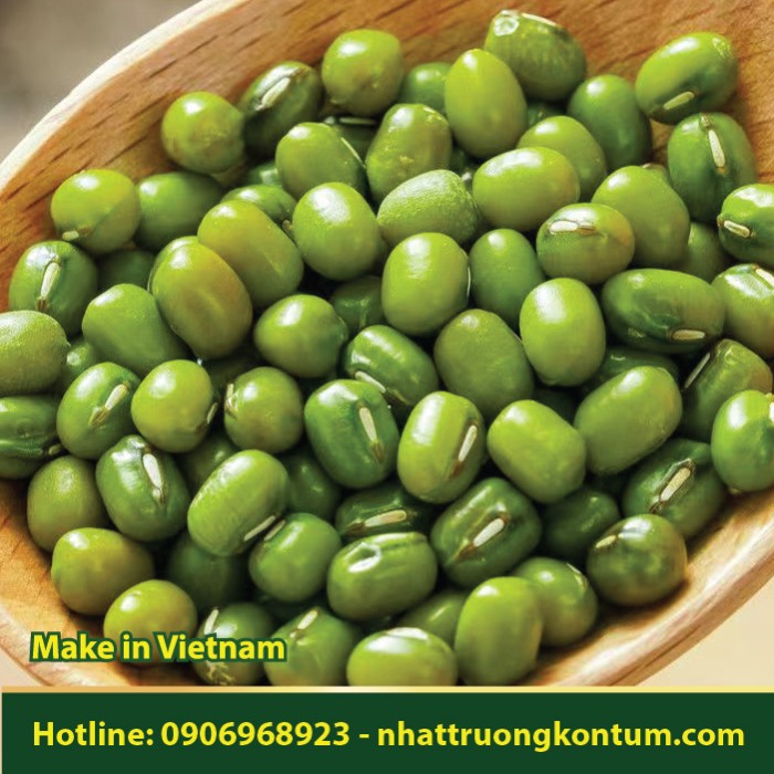 Hạt Đậu Xanh - Vigna radiata - Túi 1kg