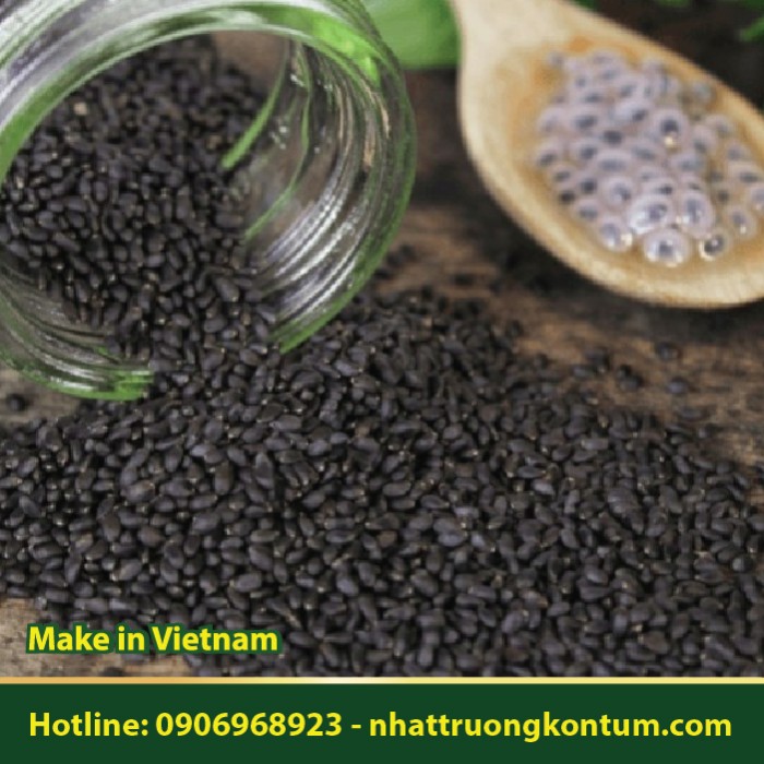 Hạt é - Ocimum basilicum - Túi 1kg