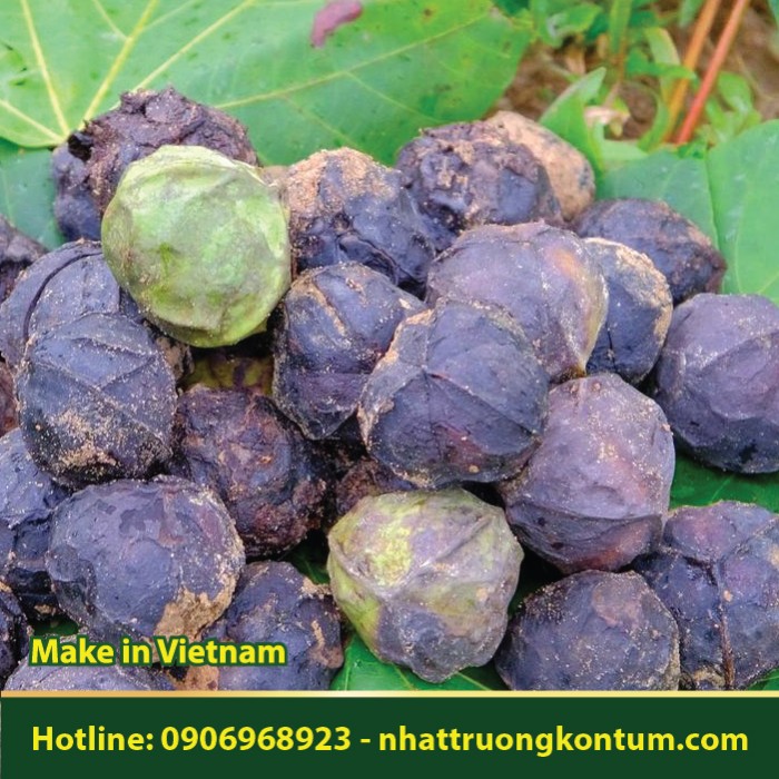 Hạt Trẩu - Vernicia montana - Túi 1kg