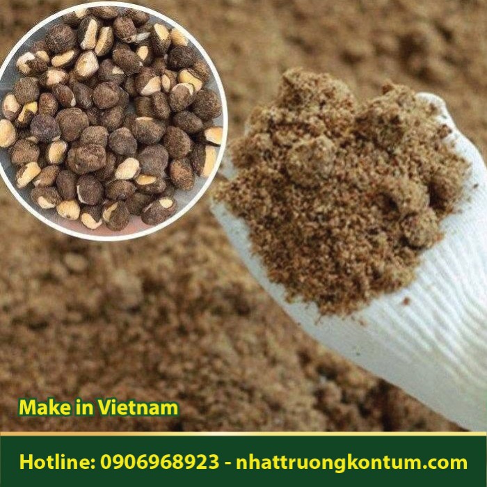 Bột Hạt Trẩu - Vernicia montana Powder - Túi 1kg