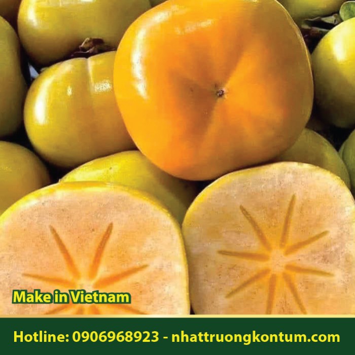 Hồng Giòn - Hồng Mềm - Diospyros kaki - Túi 1kg