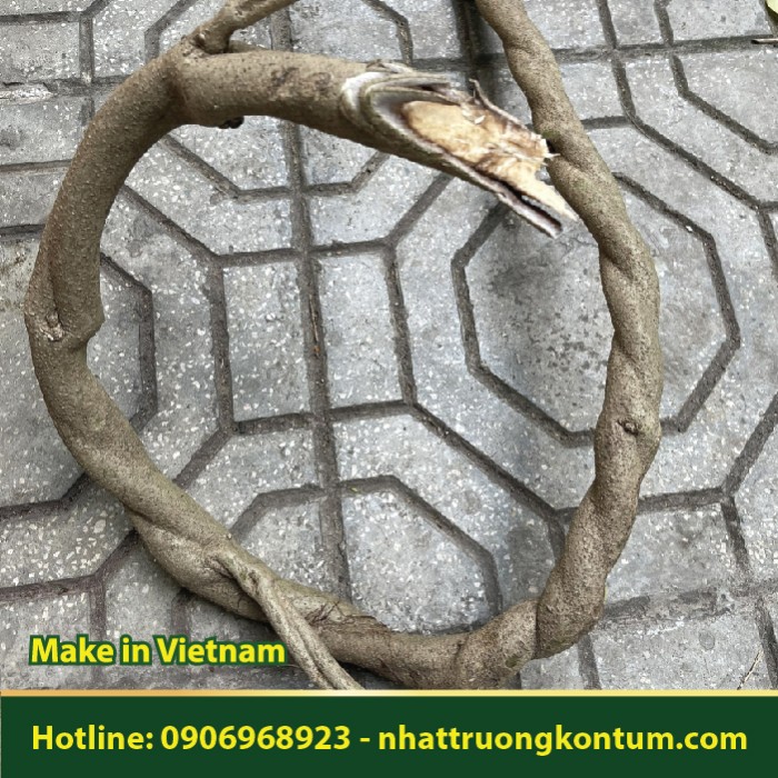 Kê Thỉ Đằng - Dây Lá Mơ Leo - Paederia foetida - Túi 1kg