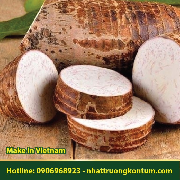 Khoai Sọ - Colocasia esculenta - Túi 1kg