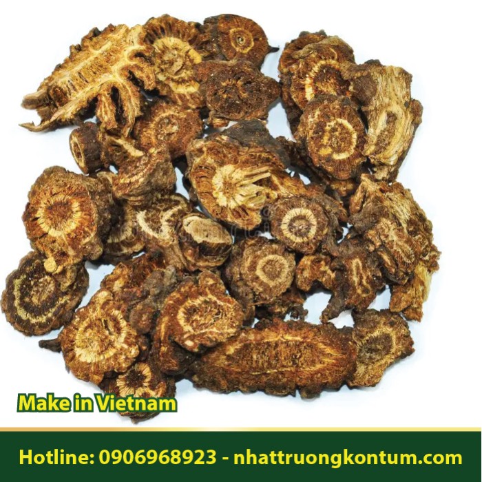 Khương Hoạt - Notopterygium incisum - Túi 1kg