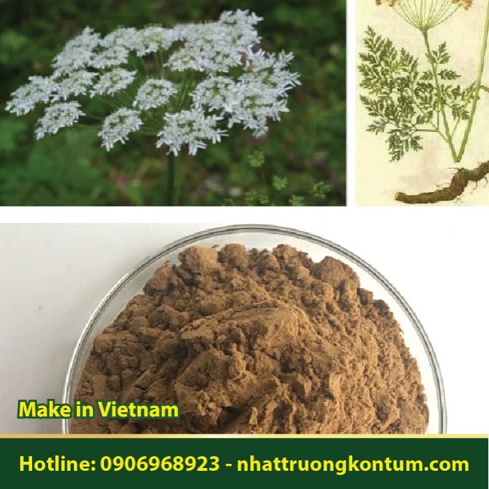 Bột Khương Hoạt - Notopterygium incisum Powder - Túi 1kg