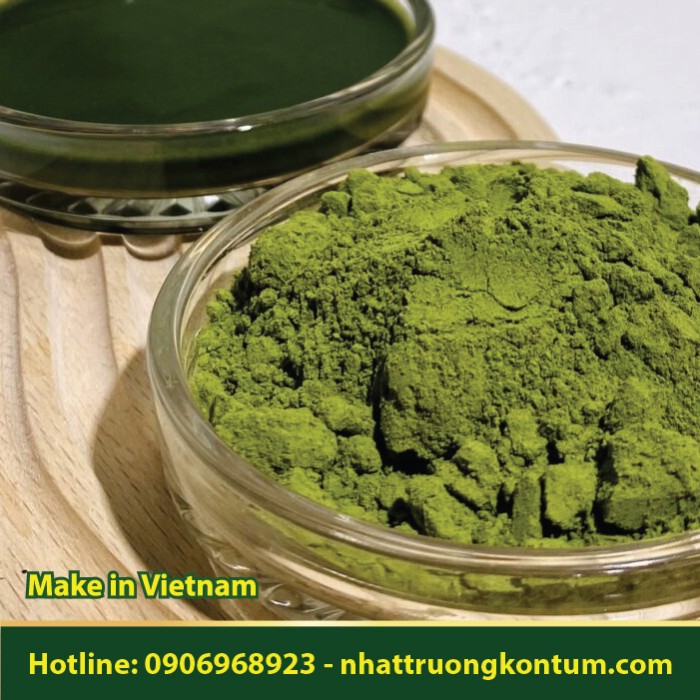 Bột Kinh Giới - Elsholtzia ciliata Powder - Túi 1kg