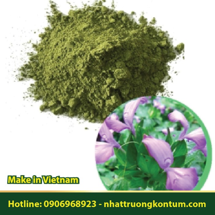 Bột Lá Cẩm - Peristrophe bivalvis Powder - Túi 1kg