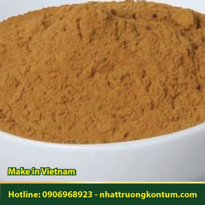Bột Cây Dong Tím Đỏ - Stachyphrynium placentarium Powder - Túi 1kg