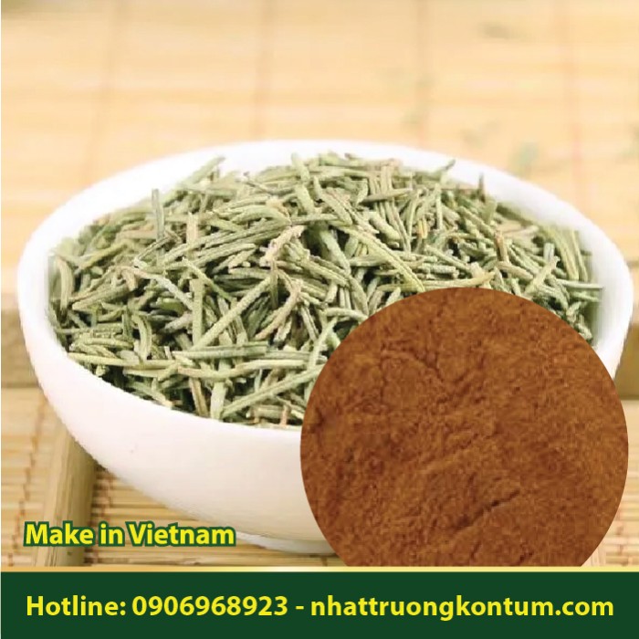 Bột Lá Hương Thảo - Rosemary - Rosmarinus officinalis Powder - Túi 1kg