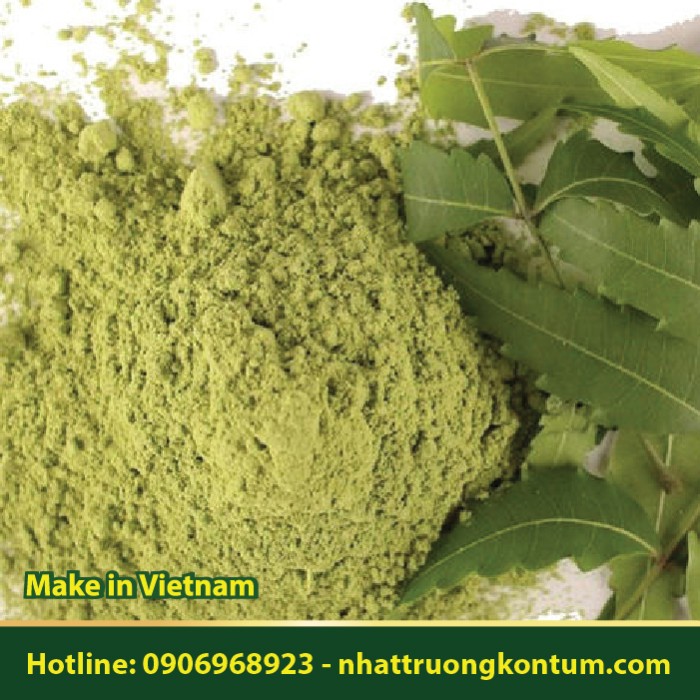 Bột Lá Neem Ấn Độ - Azadirachta indica Powder - Túi 1kg