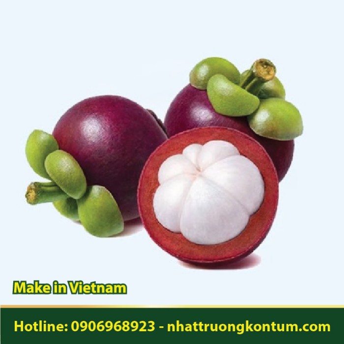 Măng Cụt - Garcinia mangostana - Túi 1kg