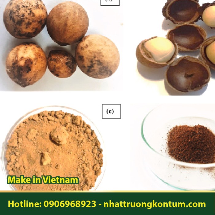 Bột Mù U - Calophyllum inophyllum Powder - Túi 1kg