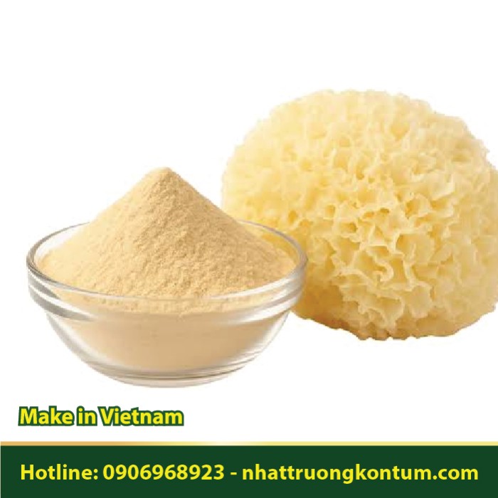 Bột Ngân Nhĩ - Nấm Tuyết - Tremella fuciformis Powder - Túi 1kg