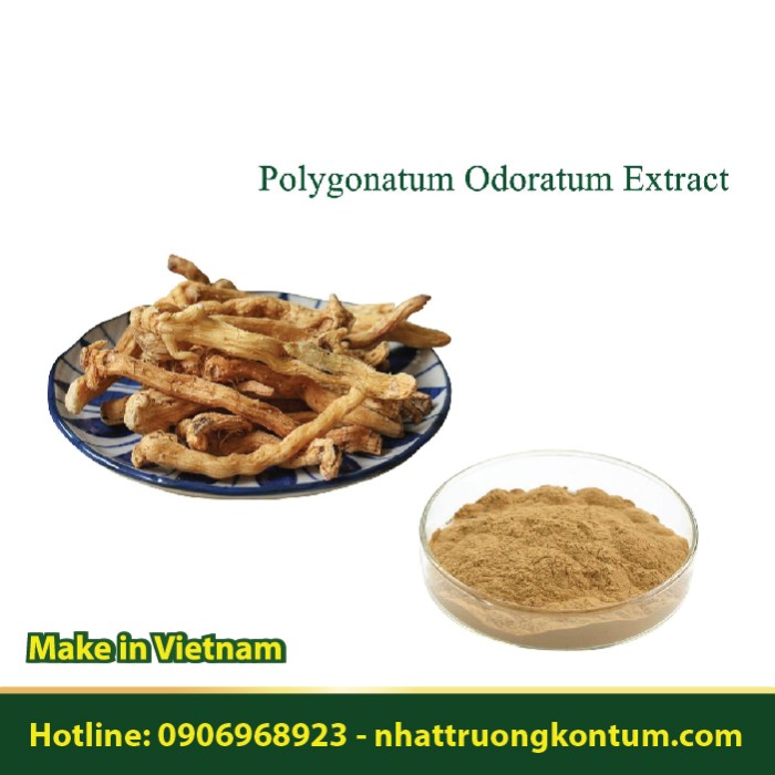 Bột Ngọc Trúc - Polygonatum odoratum Powder - Túi 1kg