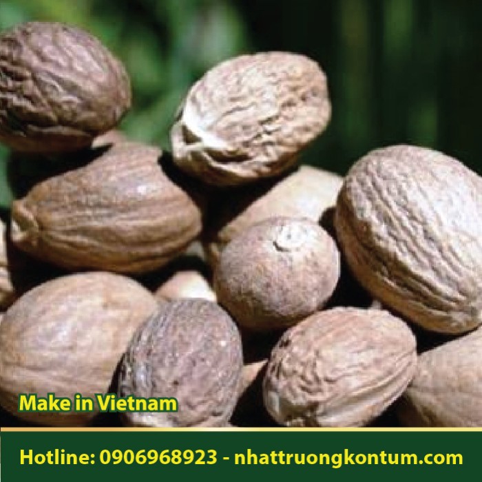 Nhục Đậu Khấu - Myristica fragrans - Túi 1kg