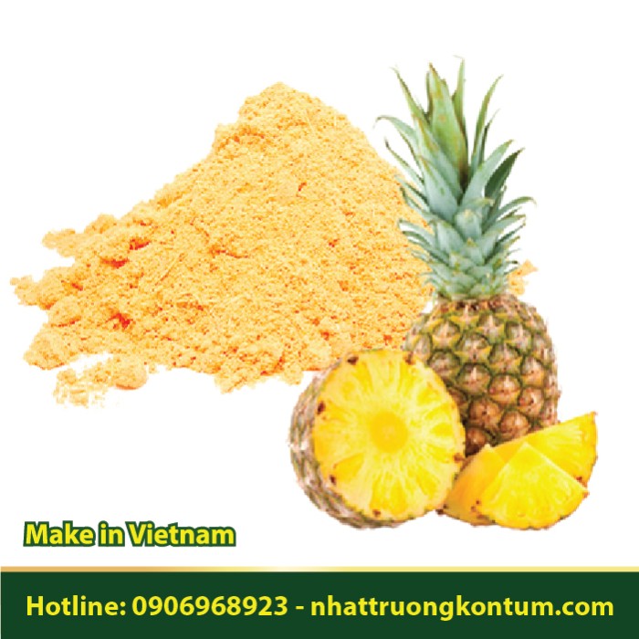 Bột Cây Dứa Khóm - Ananas comosus Powder - Túi 1kg