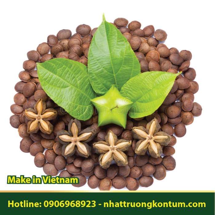 Quả Sa chi - Sacha Inchi - Túi 1kg