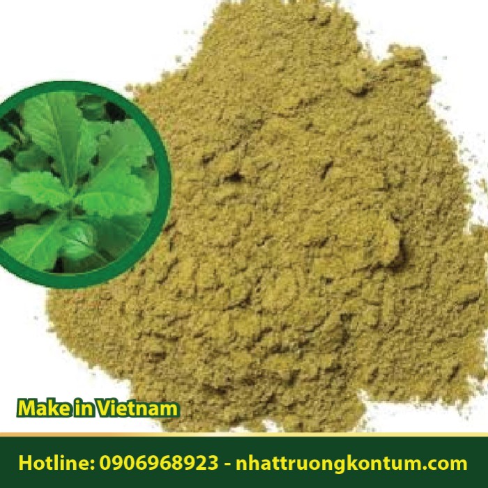 Bột Rau Lủi Măng Đen - Gynura acutifolia Powder - Túi 1kg