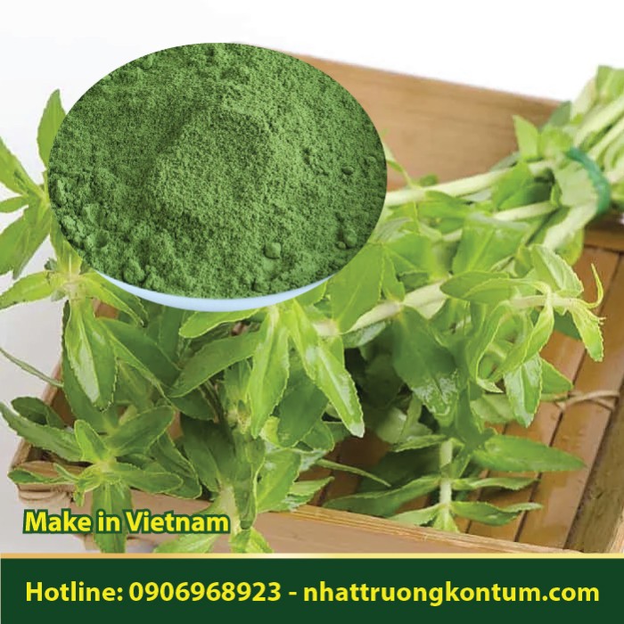 Bột Rau Ngò Om - Limnophila aromatica Powder - Túi 1kg