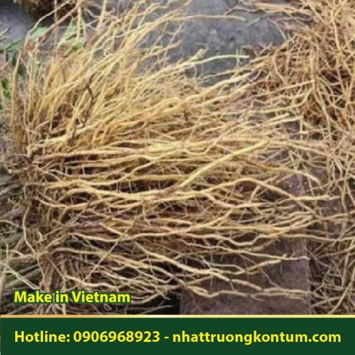 Rễ Bạch Hạc - Rhinacanthus nasutus - Túi 1kg