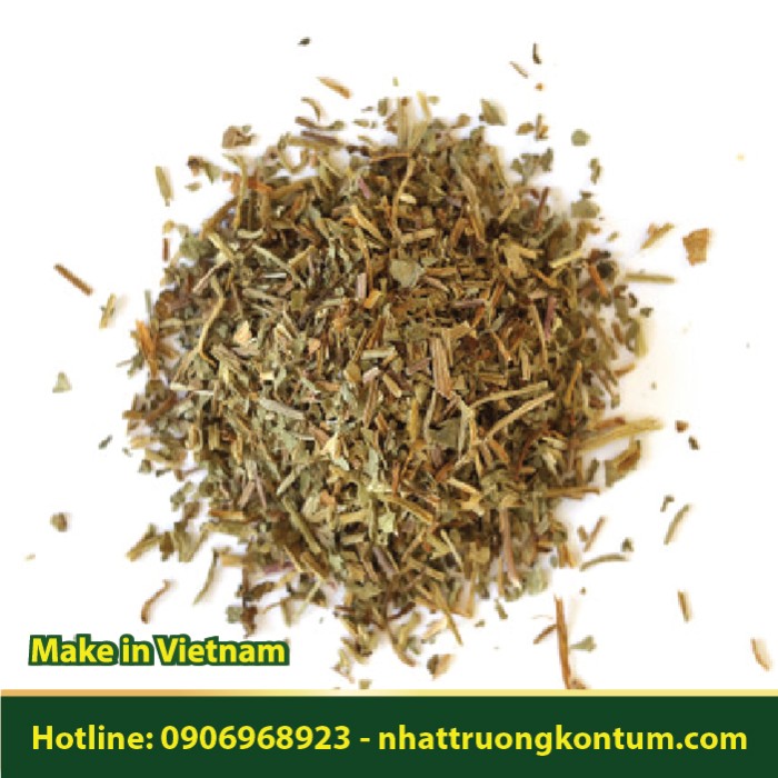 Bột Cây Sala - Couroupita guianensis Powder - Túi 1kg