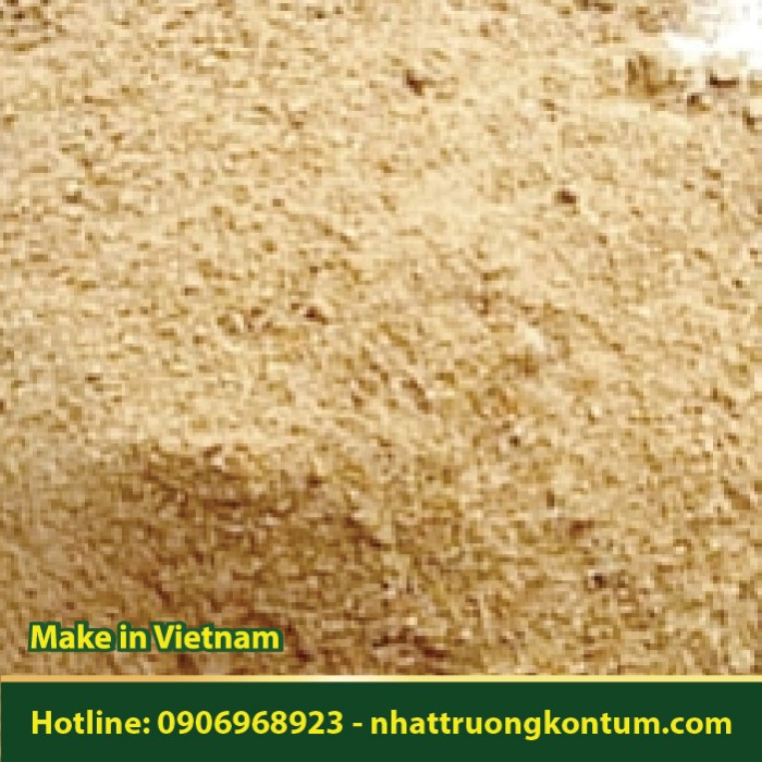 Bột Sâm Béo Trắng - Gomphandra tonkinensis Powder - Túi 1kg