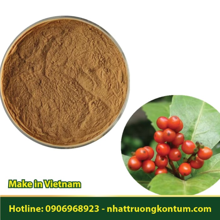 Bột Cây Sói Rừng - Sarcandra glabra Powder - Túi 1kg