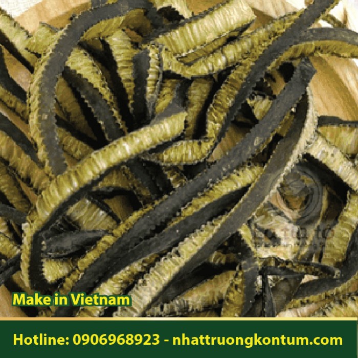 Tảo Biển Chi Lê - Durvillaea antarctica - Túi 1kg