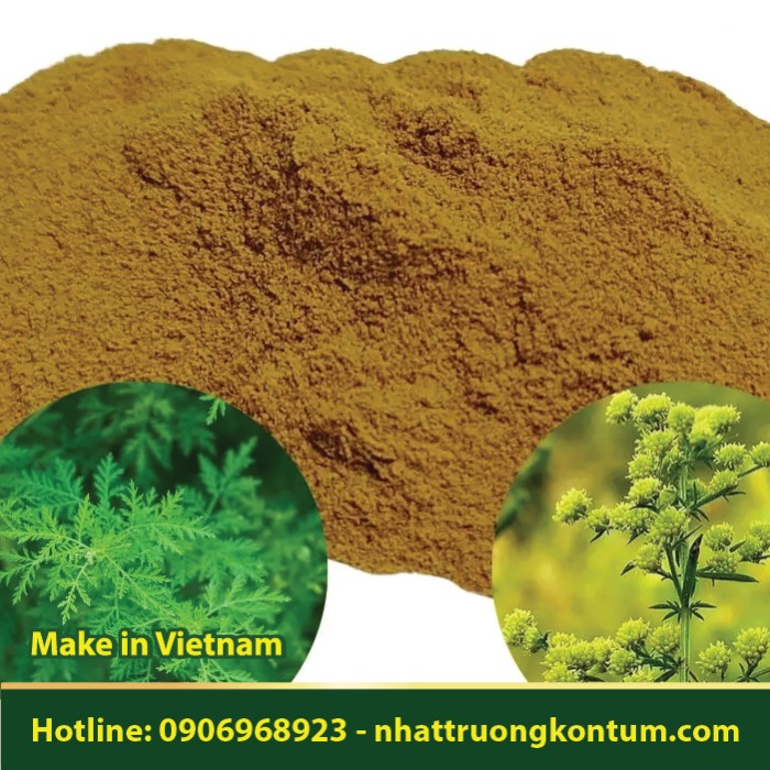 Bột Thanh Hao Hoa Vàng - Artemisia annua Powder - Túi 1kg