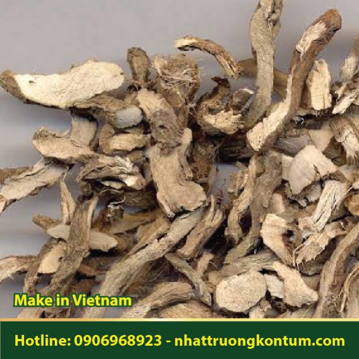 Thuỷ Xương Bồ - Acorus calamus - Túi 1kg