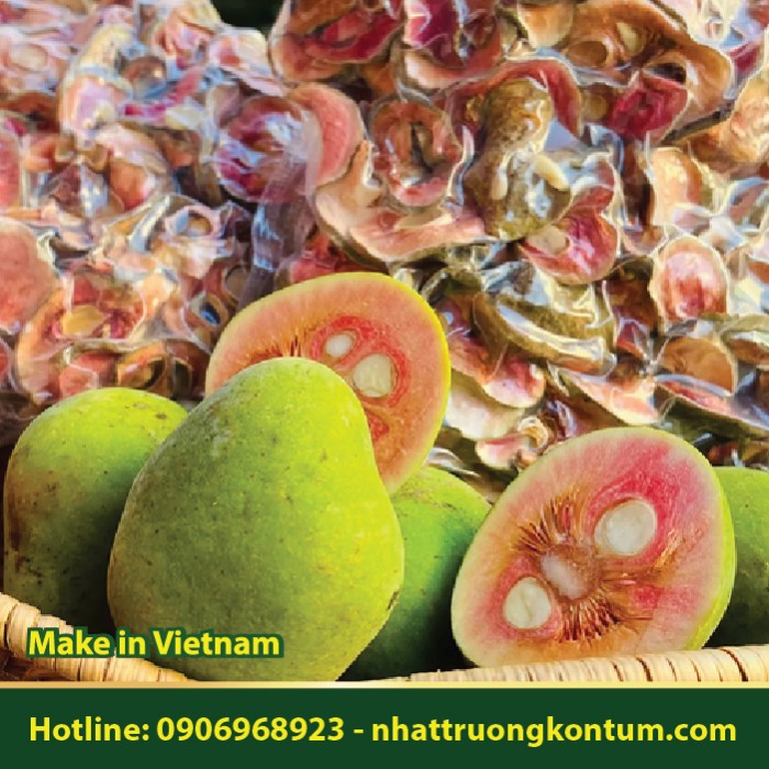 Trái Chay - Artocarpus tonkinensis - Túi 1kg