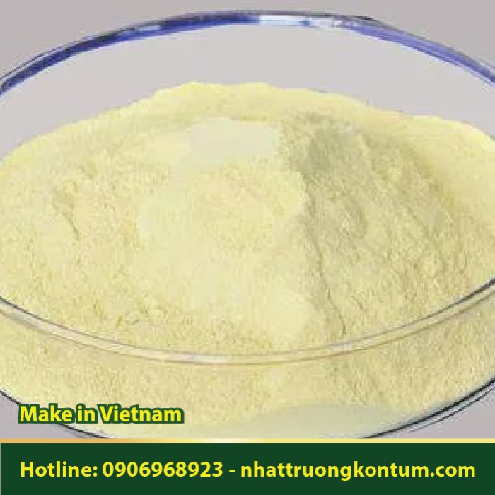 Bột Trái Say - Dialium indum Powder - Túi 1kg