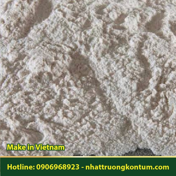 Bột Tuyết Yến - Sterculia urens Powder - Túi 1kg