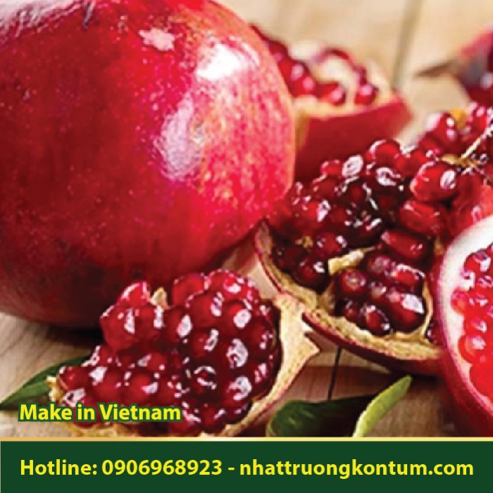 Vỏ Lựu Khô - Punica granatum - Túi 1kg