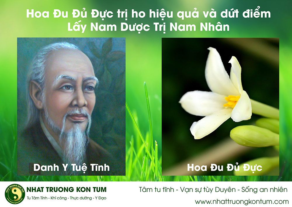 Trời sinh voi, sinh cỏ. Sinh cây thuốc để trị bệnh, chẳng phải Nobel năm 2015 trao giải cho một loại cây thuốc cổ truyền để điều trị sốt rét sao